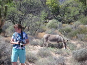 Red Rock Canyon National Conservation Area,NV