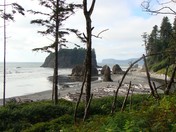 Olympic  National Park/ Ruby Beach