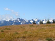 Olympic National Park/ Hurricane Ridge