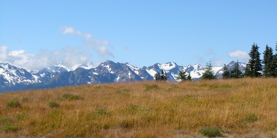 Olympic National Park/ Hurricane Ridge