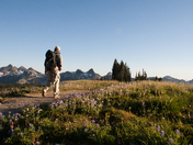 Mt Rainier National Park