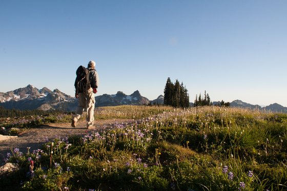 Mt Rainier National Park