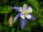 Rocky Mountain National Park