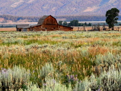 Grand Tetons National Park