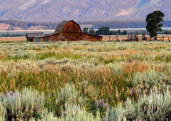 Grand Tetons National Park