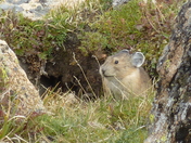 Rocky Mountain National Park