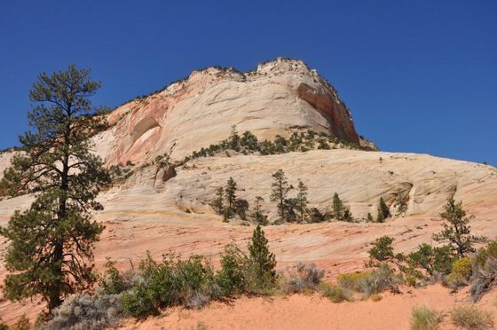 Zion National Park