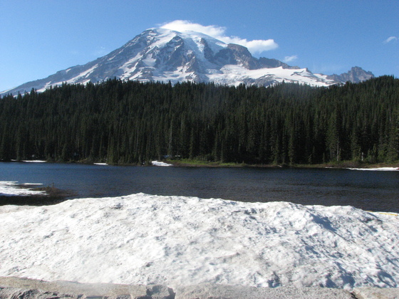 Mt. Rainier