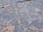 Canyonlands National Park