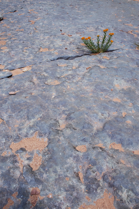 Canyonlands National Park
