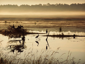 Lake Mattamuskeet National Wildlife Refuge