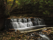 Hiawatha National Forest