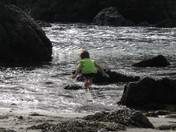 Rogue-River Siskiyou National Forest 