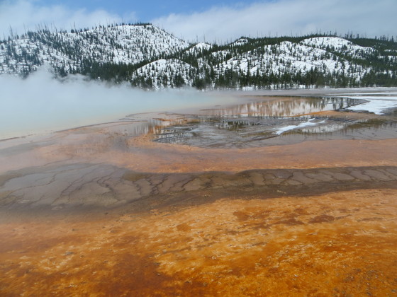 Yellowstone National Park