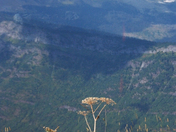 Glacier National Park