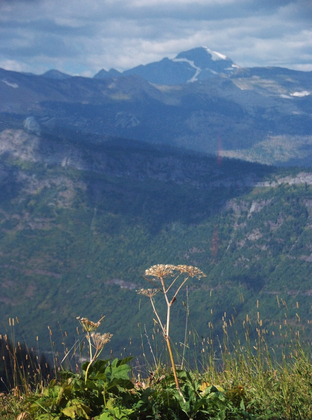 Glacier National Park