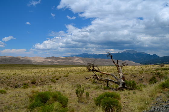 Great Sand Dunes National Park