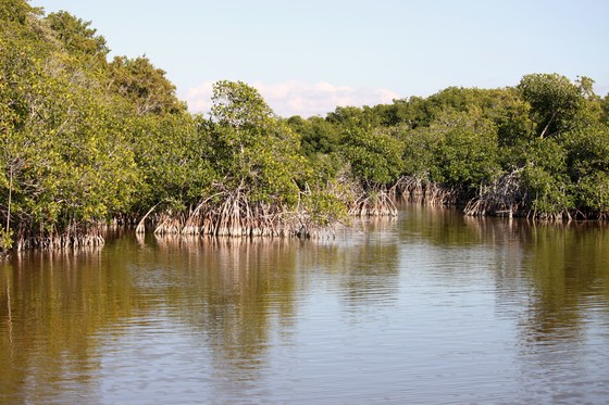 Everglades National Park