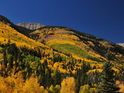 Dixie National Forest/Utah