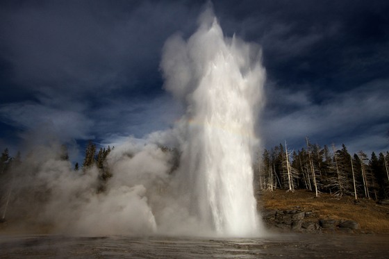 Yellowstone National Park