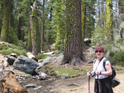 Yosemite National Park