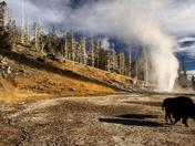Yellowstone National Park