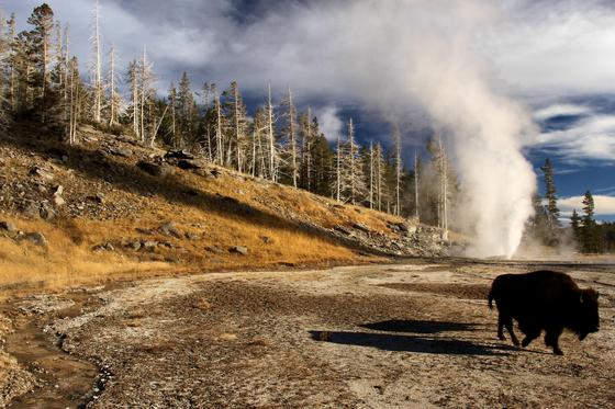 Yellowstone National Park