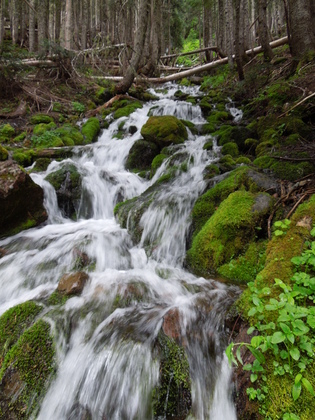 Spray Falls, Mt Rainier; USGS Mowch Lake