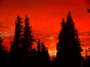 Olympic National Park