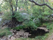 Guadalupe Mountains National Park