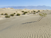 Death Valley National Park