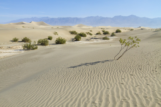 Death Valley National Park