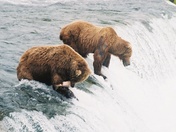 KATMAI NATIONAL PARK
