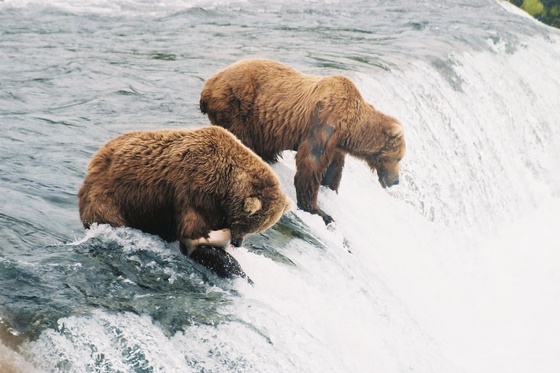 KATMAI NATIONAL PARK