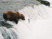 KATMAI NATIONAL PARK