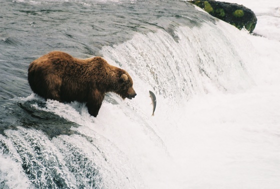 KATMAI NATIONAL PARK