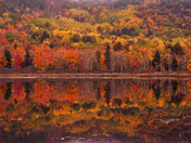 Acadia National Park