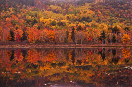 Acadia National Park