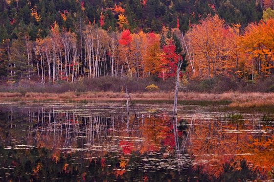 Acadia