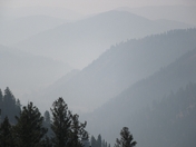 Bitterroot National Forest