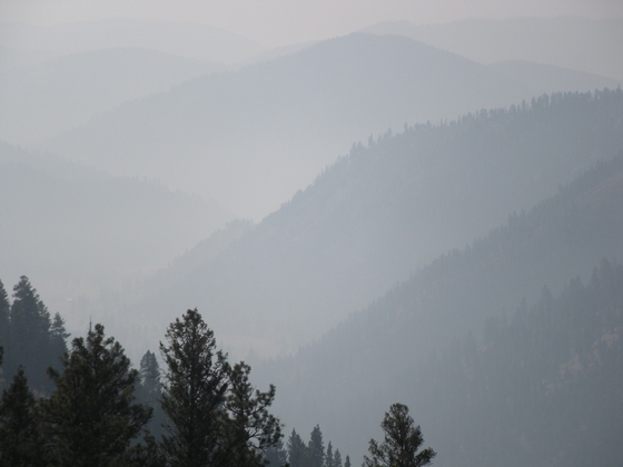 Bitterroot National Forest