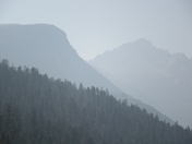 Bitterroot National Forest