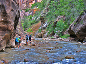 Zion National Park