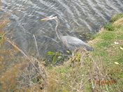 Everglades National Park