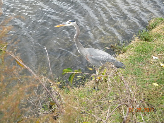 Everglades National Park