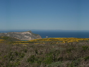 channel islands national park