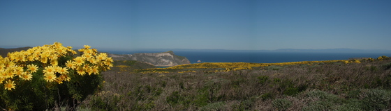 channel islands national park