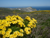 Channel Islands National Park