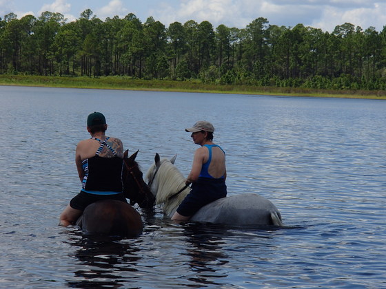 Ocala Natl Forest