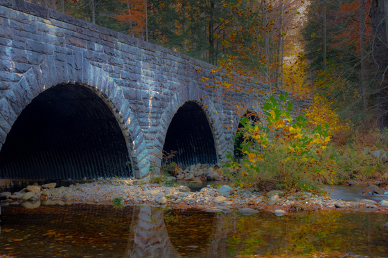 Great Smoky Mountain National Park